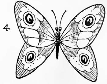 2 hours 11 minutes thank you for watching and subscribe! Pencil Drawing Of Butterfly at GetDrawings | Free download