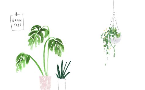 Plant Aesthetic Desktop Wallpapers Top Free Plant Aesthetic Desktop