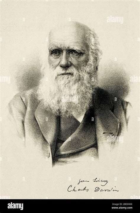 Charles Robert Darwin English Naturalist Geologist Theory Evolution