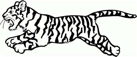 Galería de imágenes Dibujos de tigres para colorear