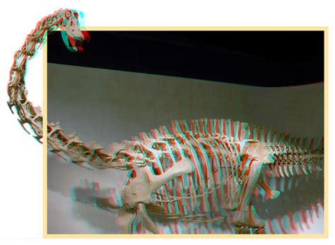 Anaglyph 3D Images – Digital 3D Stereo How-To Books