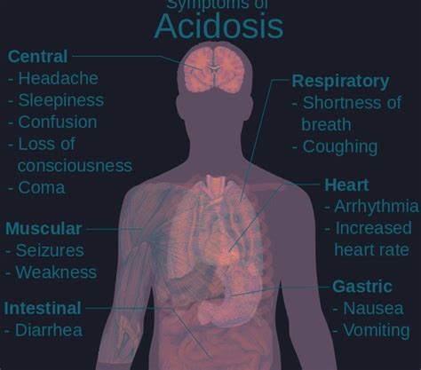 What Is Acidosis And Alkalosis