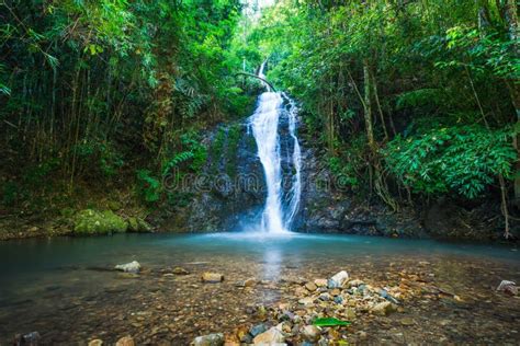 Waterfall In The Tropical Rainforest Landscape Stock Image Image Of