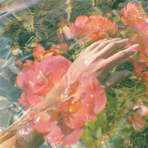 Maybe you would like to learn more about one of these? aesthetic | Flower aesthetic, Aesthetic pictures, Retro ...