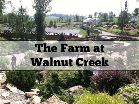 Things to do in walnut creek, ohio: DayTrip: The Farm at Walnut Creek | Day trips, Walnut ...