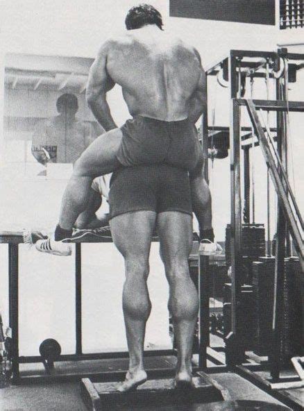 Arnold Calves Arnold Training Bodybuilding Pictures Gym Workouts For Men