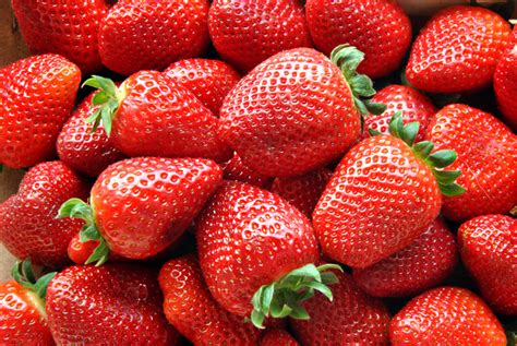 Pick Strawberries Day (20th May) | Days Of The Year