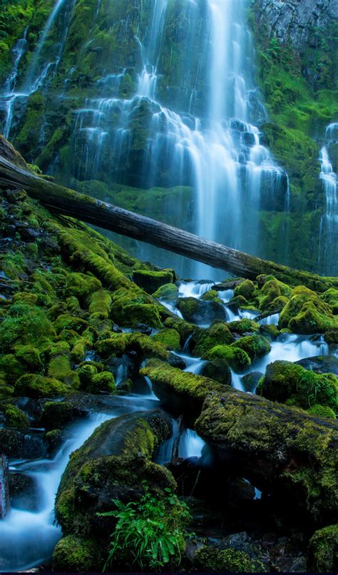 Proxy Falls Lane County Oregon Waterfall Photography Beautiful