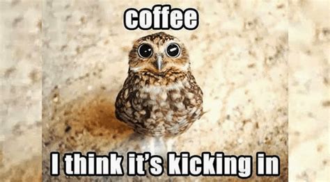 10 Hilarious Coffee Memes Every Coffee Addict Relates To