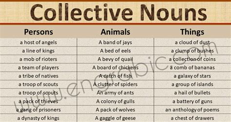 List of collective nouns for animals. 200 Collective Nouns List PDF | People, Things, Animals ...