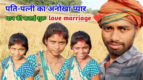 पति पत्नी साथ मिलकर धान कटे Love Marriage Village Lifestyle Couple Vijay Riya Vlogs Youtube