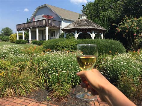 10 Best Wineries Near Luray Virginia Virginia Vacation Guide