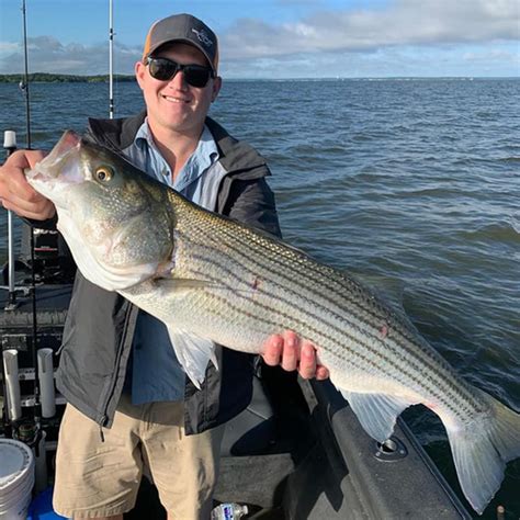 It's primary outflow is the red river and covers a vast surface area of 89,000 acres. Complete Guide to Striper Fishing Lake Texoma | Guide ...