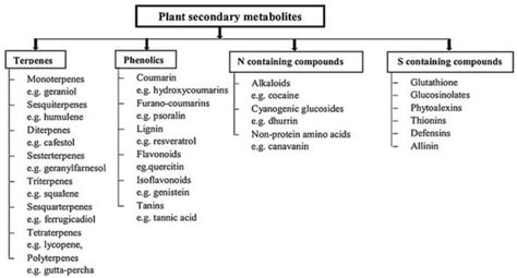 Ijpb Free Full Text Bioactive Secondary Metabolites From Plant