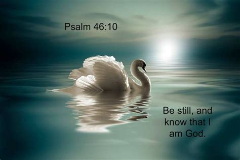 Psalm 4610 Be Still And Know That I Am God With Images Swan
