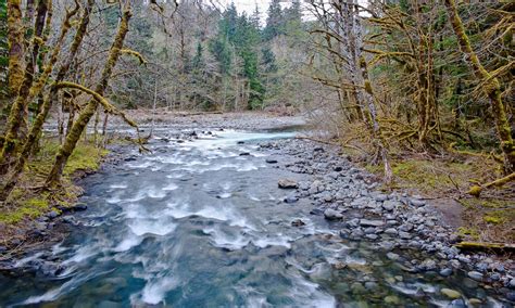 Mountain River Winter Season Tree Forest Stones Sol Duc River In