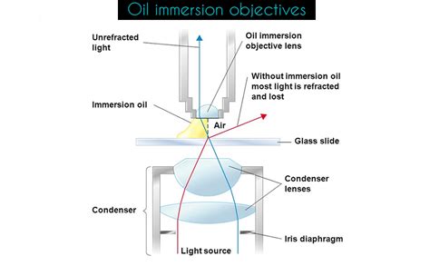 Sankalp Immersion Oil For Microscope 30ml Industrial