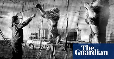 Thomas Chipperfield Britains Last Lion Tamer In Pictures Stage The Guardian