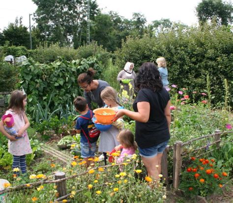 Die messe gartenfest hanau ist eine messe für garten und lifestyle. Umweltzentrum Hanau