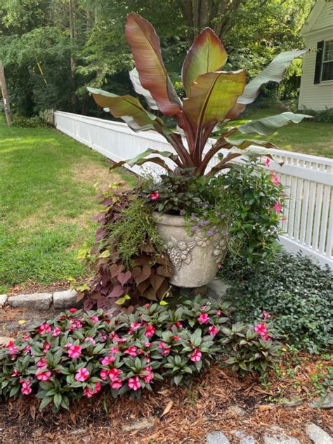 If you know your zone then just select it below to see your vegetable planting calendar. August Garden in Norwell, Massachusetts - FineGardening