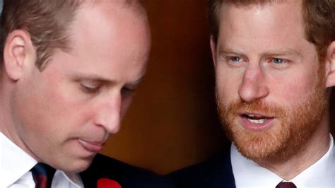 how prince william and prince harry worked together on princess diana s statue