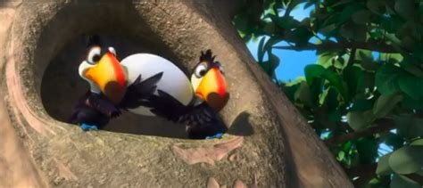Image Rio Two Toucans With Eggpng Creative Thoughts Wiki