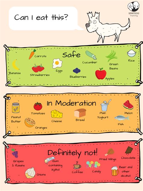 Here, learn which human foods dogs can eat and which not to however, a person should generally feed dogs these foods in moderation, as larger quantities can lead to health issues. Can My Dog Eat...? | SpiritDog Training LLC | Dog eating ...