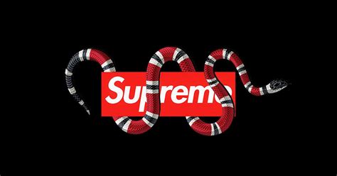 Check spelling or type a new query. Supreme wallpaper oled snake logo 4K | HeroScreen - Cool ...