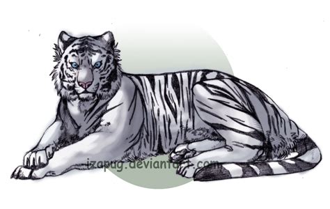 White Tiger V2 By Izapug On Deviantart