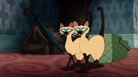 Cats the movie is set to release this december 20 in theatres across the us. 'Lady and the Tramp' Live-action Remake 2019: Why Disney ...
