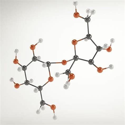 Molecule Sucrose 3d Model Cgtrader