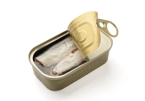 Canned Sardines From Morocco Export Import Company