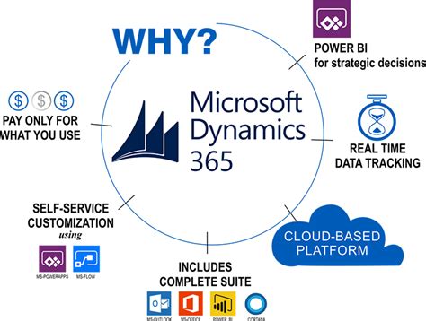Sap Business One Or Microsoft Dynamics 365 Which One To Choose