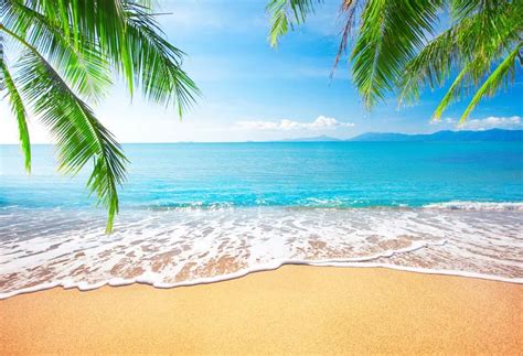Seascape Photography Backdrops Beach Photo Background Computer Printed