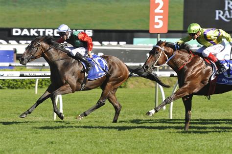 Epsom Handicap 2016 Day Tips Randwick Races 1102016 Sports News