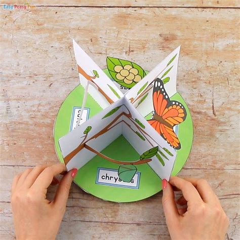 3d Butterfly Life Cycle Craft Butterfly Life Cycle Craft Frog Life
