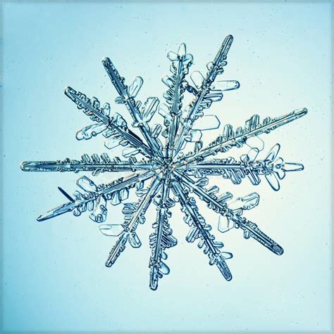 Natural Crystal Snowflake Macro Stock Image Image Of Frost Cool