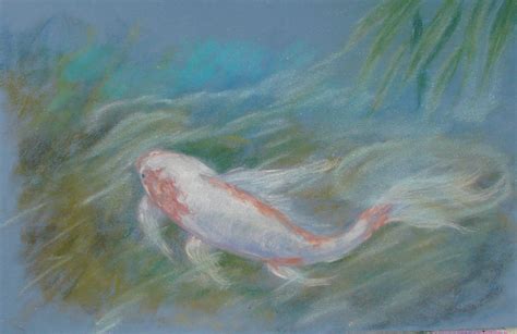 O Shields Fine Art Daily Paintings Koi Images Of Hawaii Pastel By P O