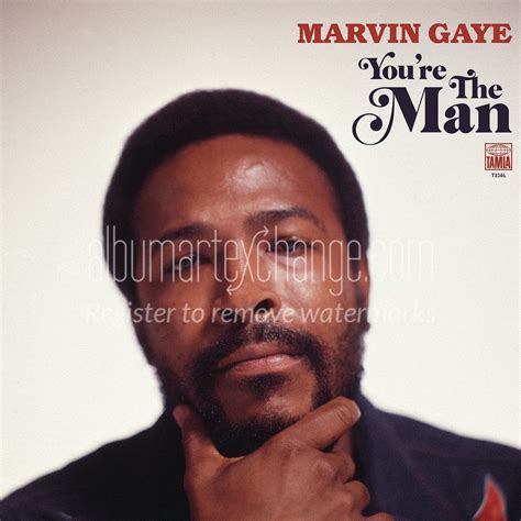 Album Art Exchange You Re The Man By Marvin Gaye Album Cover Art
