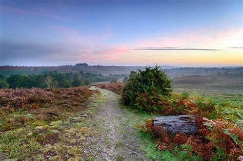 10 Best Hiking Trails In New Forest National Park Discover The Top