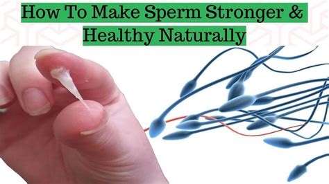 Health Men 8 Signs That You Have A Healthy Sperm Signs Of Healthy Semen Youtube