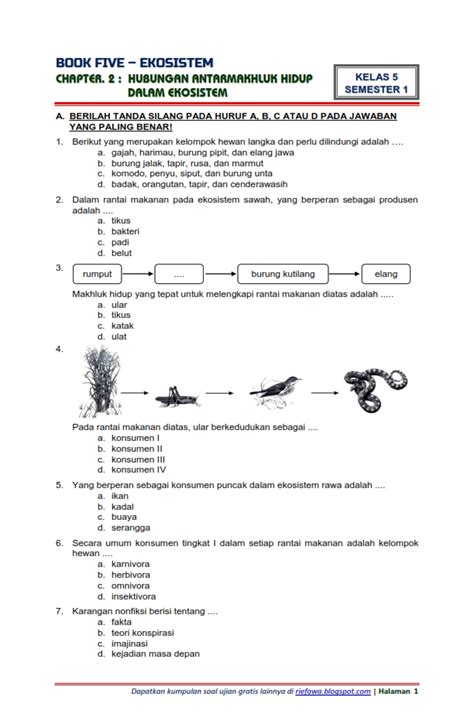 Soal Tematik Kelas 5 Tema 5 Hot Sex Picture