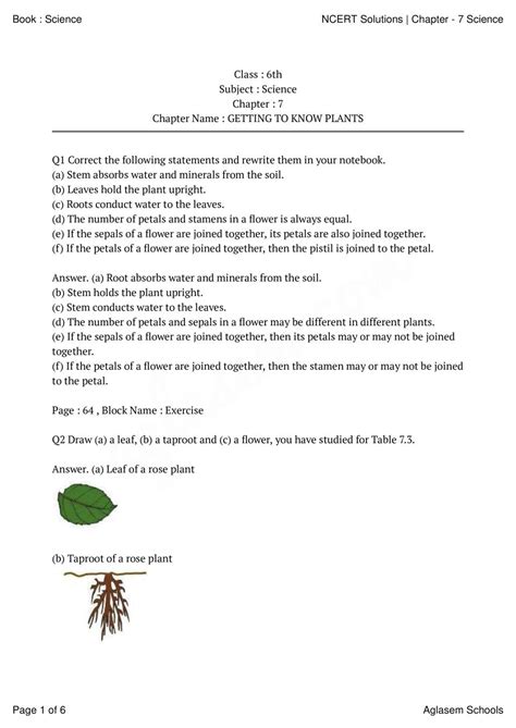 Ncert Solutions Class 6 Science Chapter 7 Getting To Know Plants