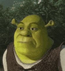 Gif Memes Shrek Factory Memes Riset Sexiz Pix
