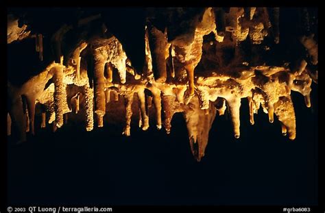 Picturephoto Water Drops Dripping Of Stalactites Lehman Cave Great