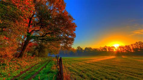 Colorful Fall Autumn Beautiful Sunset Road Sky Coolwallpapersme