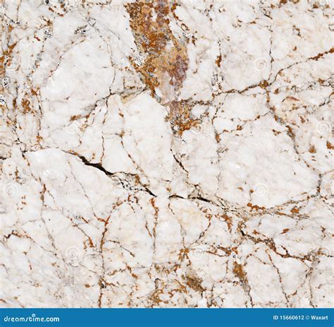 Close Up Of White Marble Stock Photo Image Of White 15660612