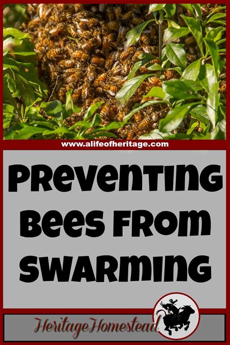 Print Off This Free Printable To Help You Manage Your Hives In The