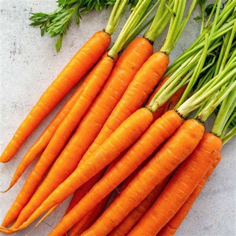 Imperator 58 Carrot Heirloom Seeds Carrots Nutrition Health Benefits