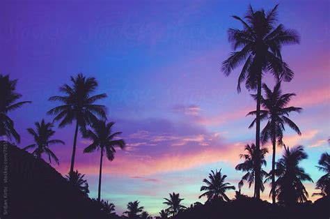 Summer Silhouetted Palm Trees Pattern During Beautiful Purple Sunset By